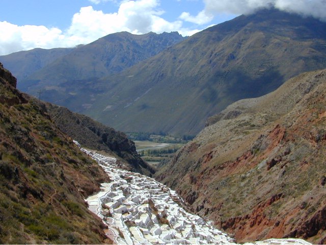 Maras