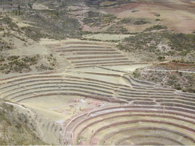 Moray
