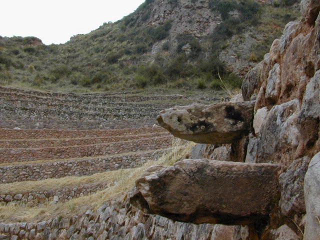 Moray